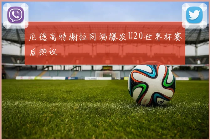 厄德高特谢拉同场爆发U20世界杯赛后热议