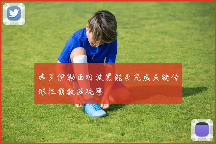弗罗伊勒面对波黑能否完成关键传球拦截数据观察