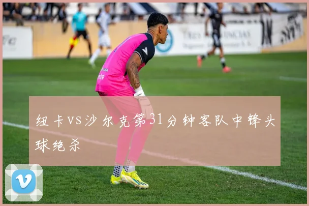 纽卡vs沙尔克第31分钟客队中锋头球绝杀