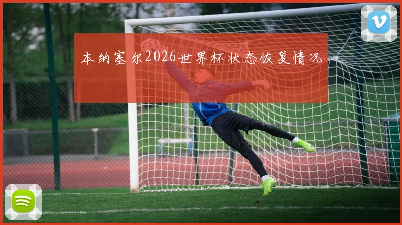 本纳塞尔2026世界杯状态恢复情况